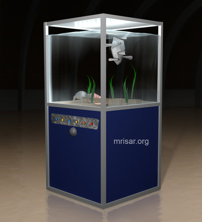 Robots, Underwater; MRISAR's Underwater Robots; Turtle & Fin Swimmer Exhibit