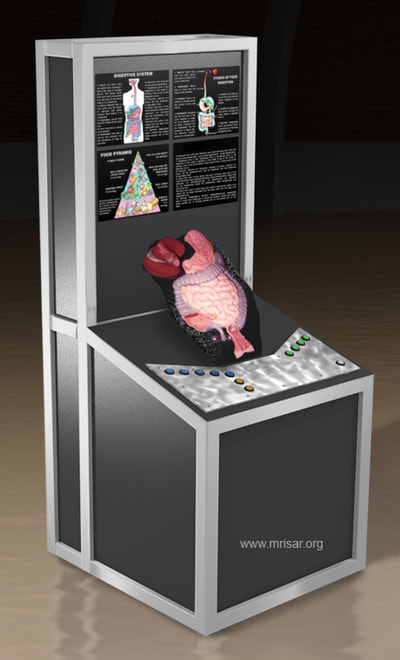 MRISAR's Interactive Digestive Medical Exhibit