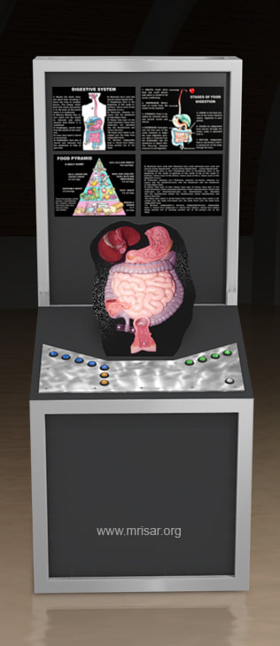 MRISAR's Interactive Digestive Medical Exhibit