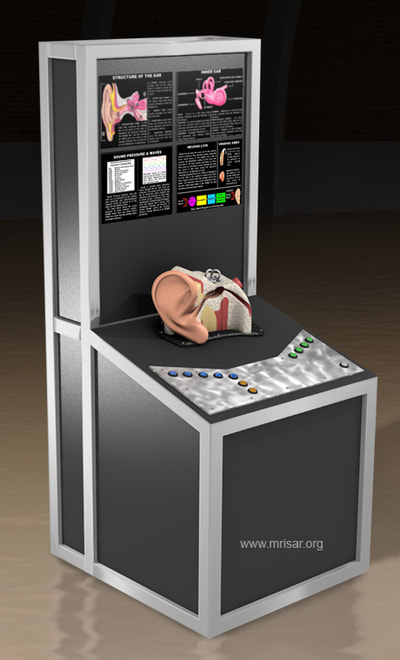 MRISAR's Interactive Ear Medical Exhibit