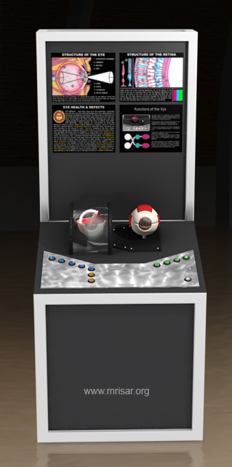 MRISAR's Interactive Eye Medical Exhibit