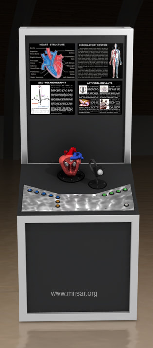 MRISAR's Interactive Heart Medical Exhibit