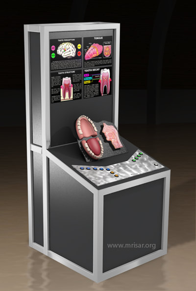 MRISAR's Interactive Tongue & Teeth Medical Exhibit