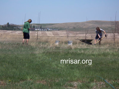 Seen here are MRISAR R&D Team members Aurora and Autumn Siegel planting apple trees shortly after relocating here. During the first 3 years after relocating, MRISAR’s Team hand-planted over 4,000 edible and medicinal trees and shrubs on the 10 acre grounds at our North Dakota Complex.