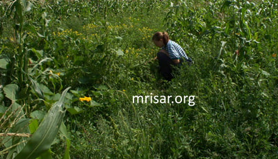 MRISAR North Dakota Complex is a 36,000 sq. ft. former school that is situated on ten acres. We relocated to this location from Michigan in 2010. Seen here is MRISAR team member Autumn Siegel.